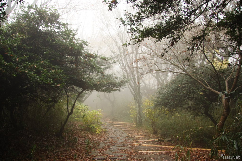 trail of mist