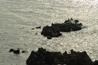 rocks near the shoreline 