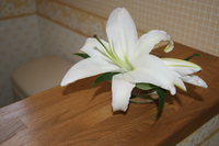white flower in restaurant 