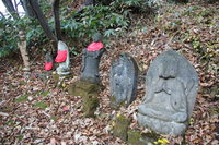 seven buddha statues 