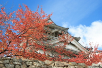 061124121510_view--himeji_castle_in_autumn