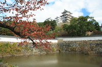 moat in autumn 