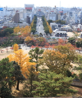 himeji city 