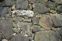 rocks of the castle 