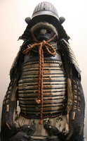 shogun armour 
