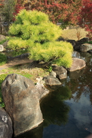 tsukiyama-chisen-no-niwa - garden with a hill and pond 
