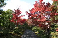 path of autumn 