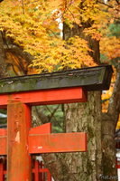 view--nara - corner of a shrine 