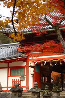 shrine of tamukeyama hachimangu 