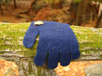view--nara - single blue glove 