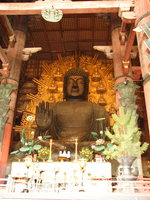 nara buddha - largest in japan 