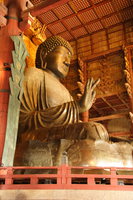side view of nara buddha 