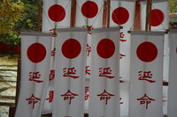 flags of longevity 