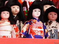 view--kada - ichimatsu dolls 