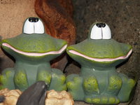 two green frogs 