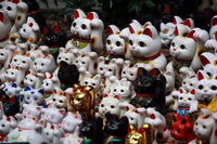 assorted beckoning cat dolls 