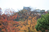 wakayama castle 