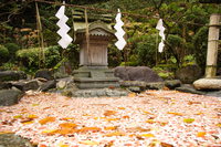 pond of temple courtesy 