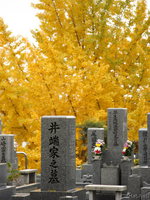 the autumn of tombs 