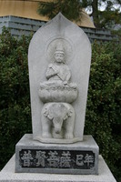 year of dog - kannon of kindness 