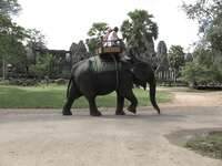 elephant in front of bayon temple Siem Reap, South East Asia, Cambodia, Asia