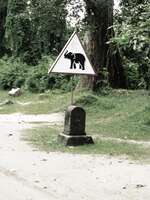20081020123621_elephant_crossing_sign