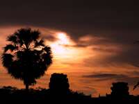 view--angkor sunset Phnom Penh, Siem Reap, South East Asia, Cambodia, Asia