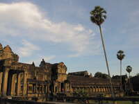 plam of angkor Phnom Penh, Siem Reap, South East Asia, Cambodia, Asia