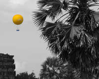 angkor balloon and palm tree Siem reap, South East Asia, Cambodia, Asia