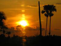 racing for sunset Siem Reap, South East Asia, Cambodia, Asia