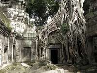 ta prohm gateway Siem Reap, South East Asia, Cambodia, Asia