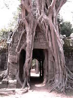ta som east gopura Siem Reap, South East Asia, Cambodia, Asia