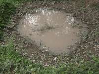 20081017162455_mud_puddle_of_the_dead