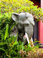camdian elephant Saigon, Phnom Penh, South East Asia, Vietnam, Cambodia, Asia