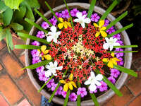 view--flower pot of luang prabang Luang Prabang, Vientiane, South East Asia, Laos, Asia