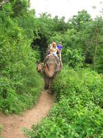 thai elephant tourists Chiang Mai, South East Asia, Thailand, Asia