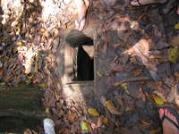 20081015101310_mouse_tunnel