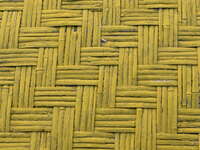 20081006163816_bamboo_bed