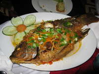 food--halong fish Ninh Binh, Halong Bay, Quang Ninh province, Vietnam, Asia