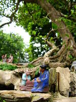 chess playing tree Hanoi, South East Asia, Vietnam, Asia