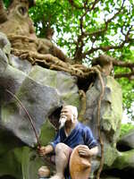 drunken fisherman tree Hanoi, South East Asia, Vietnam, Asia
