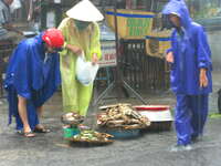 raining crab and dogs Hoi An, South East Asia, Vietnam, Asia