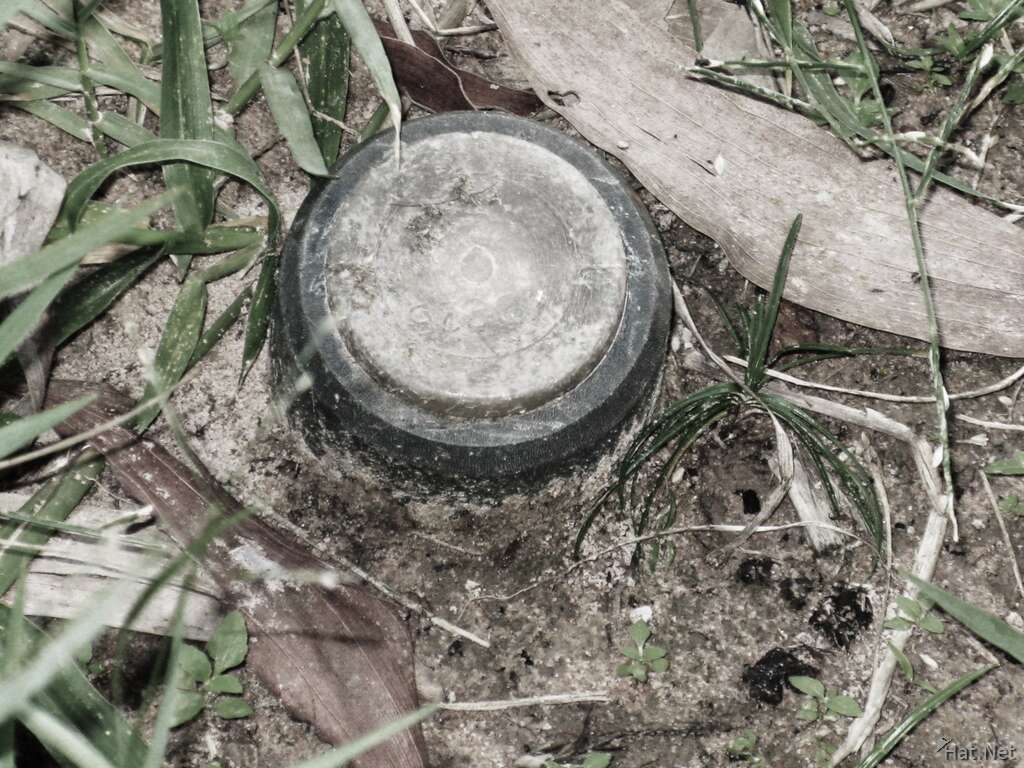 killer landmine