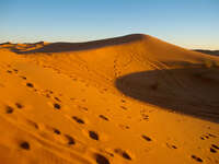 view--footprints on sand dune Merzouga, Sahara, Morocco, Africa