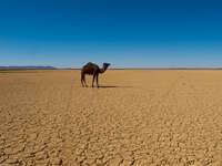 view--desolation Merzouga, Sahara, Morocco, Africa