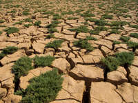 view--drought Merzouga, Sahara, Morocco, Africa