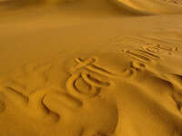 view--sand of hat dot net Merzouga, Sahara, Morocco, Africa