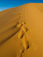 view--memory of desert Merzouga, Sahara, Morocco, Africa