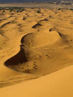 view--dunes Merzouga, Sahara, Morocco, Africa