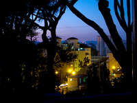 20101106185201_view--night_in_alameda_botanic_gardens_of_gibraltar